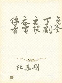 锦衣之下免费观看电视剧全集在线播放