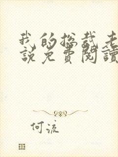 我的总裁老婆小说免费阅读