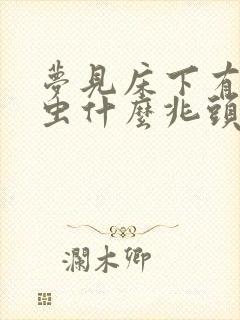 梦见床下有很多虫什么兆头