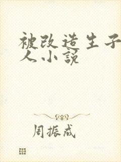 被改造生子的美人小说封面