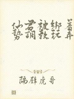 仙君被绑着用玉势调教玩弄封面