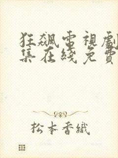 狂飙电视剧39集在线免费高清观看