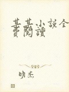 某某小说全文免费阅读