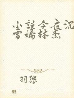 小说今夜沉醉段雪娇林杰