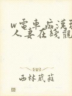 w电车痴汉玩弄人妻在线观看