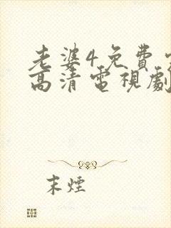 老婆4免费完整高清电视剧在线观看