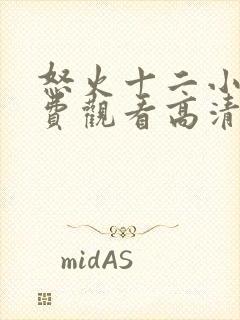 怒火十二小时免费观看高清完整版