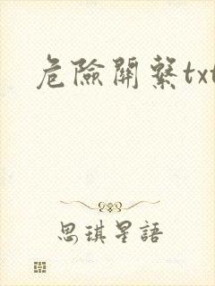 危险关系txt封面