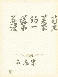 葬送的芙莉莲动漫第一季免费观看