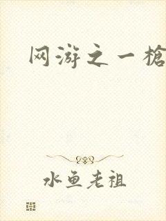 网游之一枪飙血封面