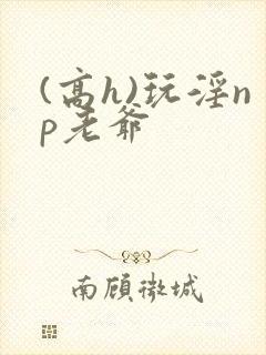 (高h)玩淫np老爷封面
