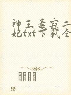 神王毒宠二嫁王妃txt下载全本封面