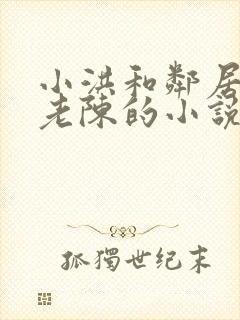 小洪和邻居杨姐老陈的小说