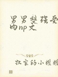 男男双强受h啪肉np文