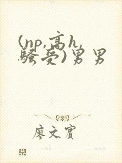 (np,高h,骚受)男男