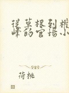 从草根到权力巅峰的官场小说封面