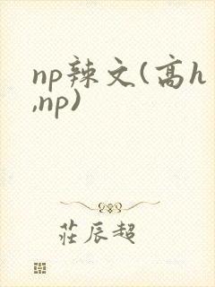 np辣文(高h,np)