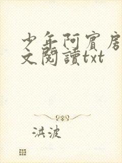 少年阿宾房东全文阅读txt