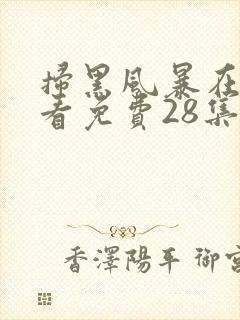 扫黑风暴在线观看免费28集