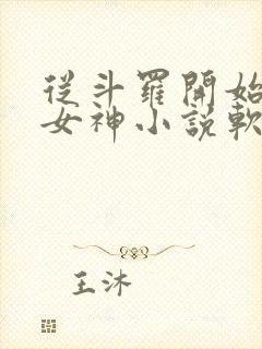 从斗罗开始俘获女神小说软件