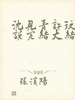 沈见青许玟玟小说完结大结局了吗封面