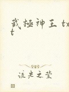 武极神王 txt
