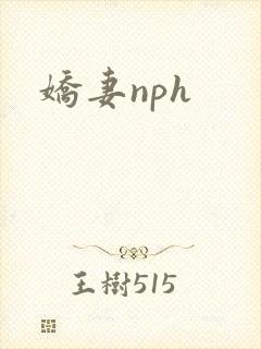 娇妻nph