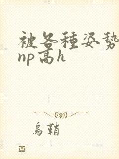 被各种姿势玩弄np高h