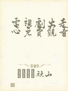 电视剧出走的决心免费观看全集高清封面