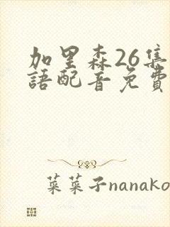 加里森26集国语配音免费观看封面