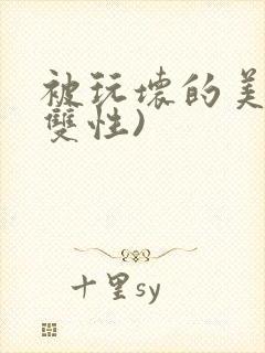 被玩坏的美人(双性)