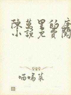 陈万里的唐嫣然小说免费阅读封面