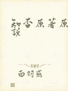 知否原著原著小说封面