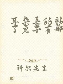 耳朵长的动物除了兔子有哪些