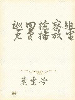 巡回检察组全集免费播放电视剧