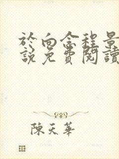 于向念程景默小说免费阅读