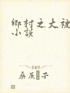 乡村之大被同眠小说封面