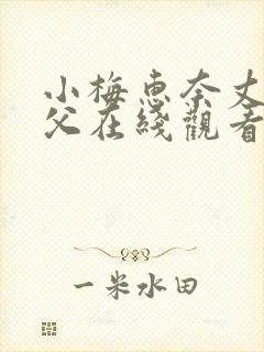 小梅惠奈丈夫义父在线观看