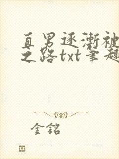 直男逐渐被掰弯之路txt笔趣阁免费阅