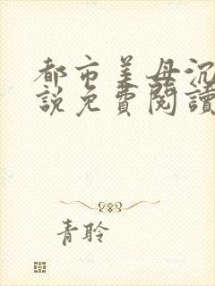 都市美母沉沦小说免费阅读封面