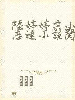 陆婷婷宋小易高志远小说阅读封面