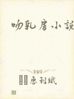 吻乳房小说封面