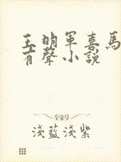 王明军喜马拉雅有声小说