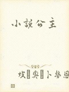 小说公主