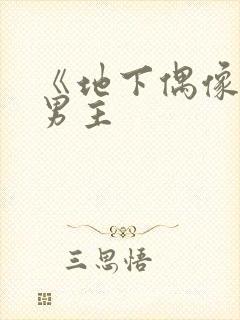 《地下偶像》双男主