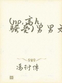 (np,高h,骚受)男男文