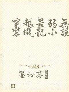 穿越最弱无败神装机龙小说封面