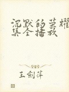 沉默的荣耀40集全播放封面