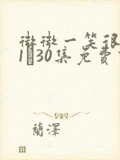 微微一笑很倾城1―30集免费下载