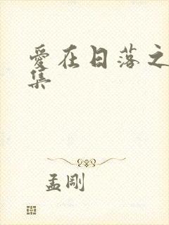 爱在日落之前全集